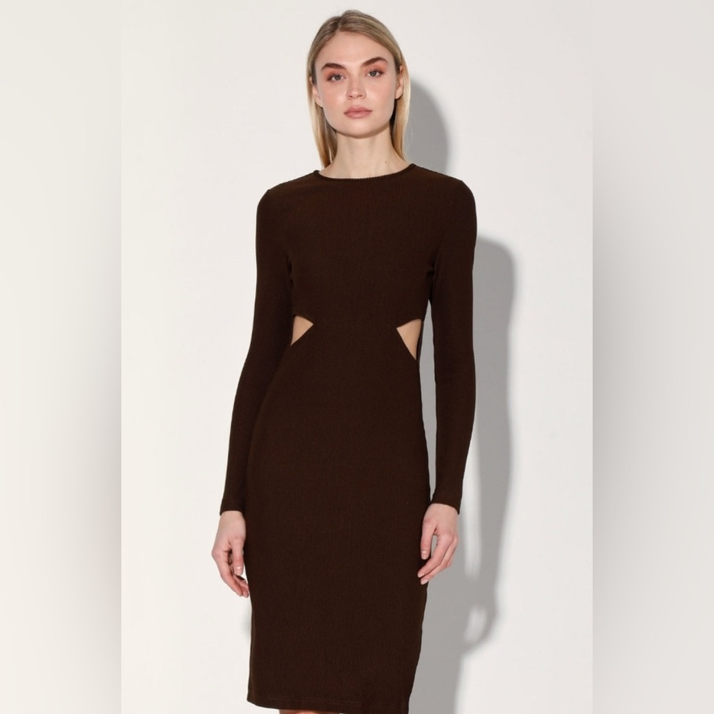 NWOT WALTER BAKER Krystal Ribbed Knit‎ Back Zip Dress In Chocolate Sz S Org $228